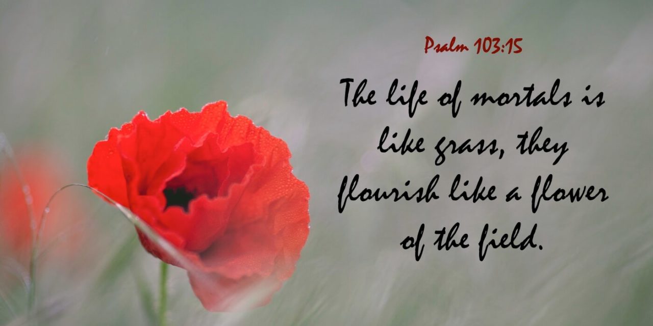 Psalm 103:15