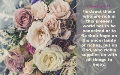 1 Timothy 6:17