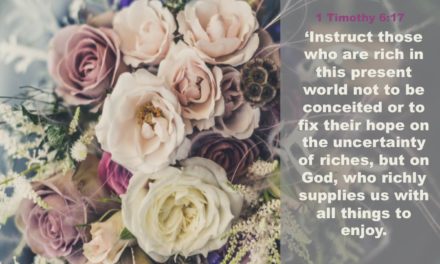 1 Timothy 6:17